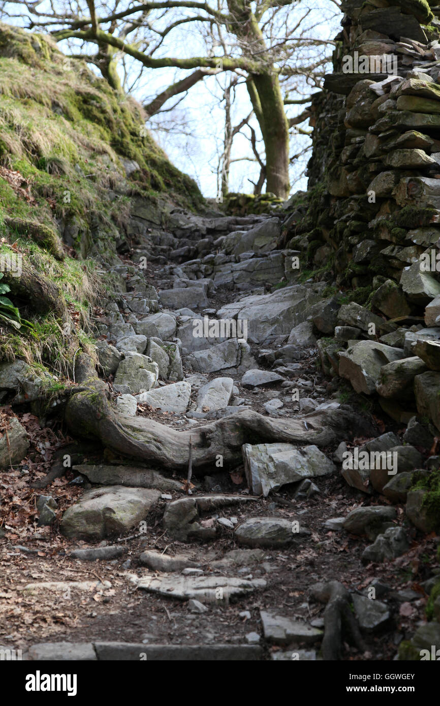 Un tipico sentiero roccioso nel distretto del lago al di sopra di Rydal acqua Foto Stock