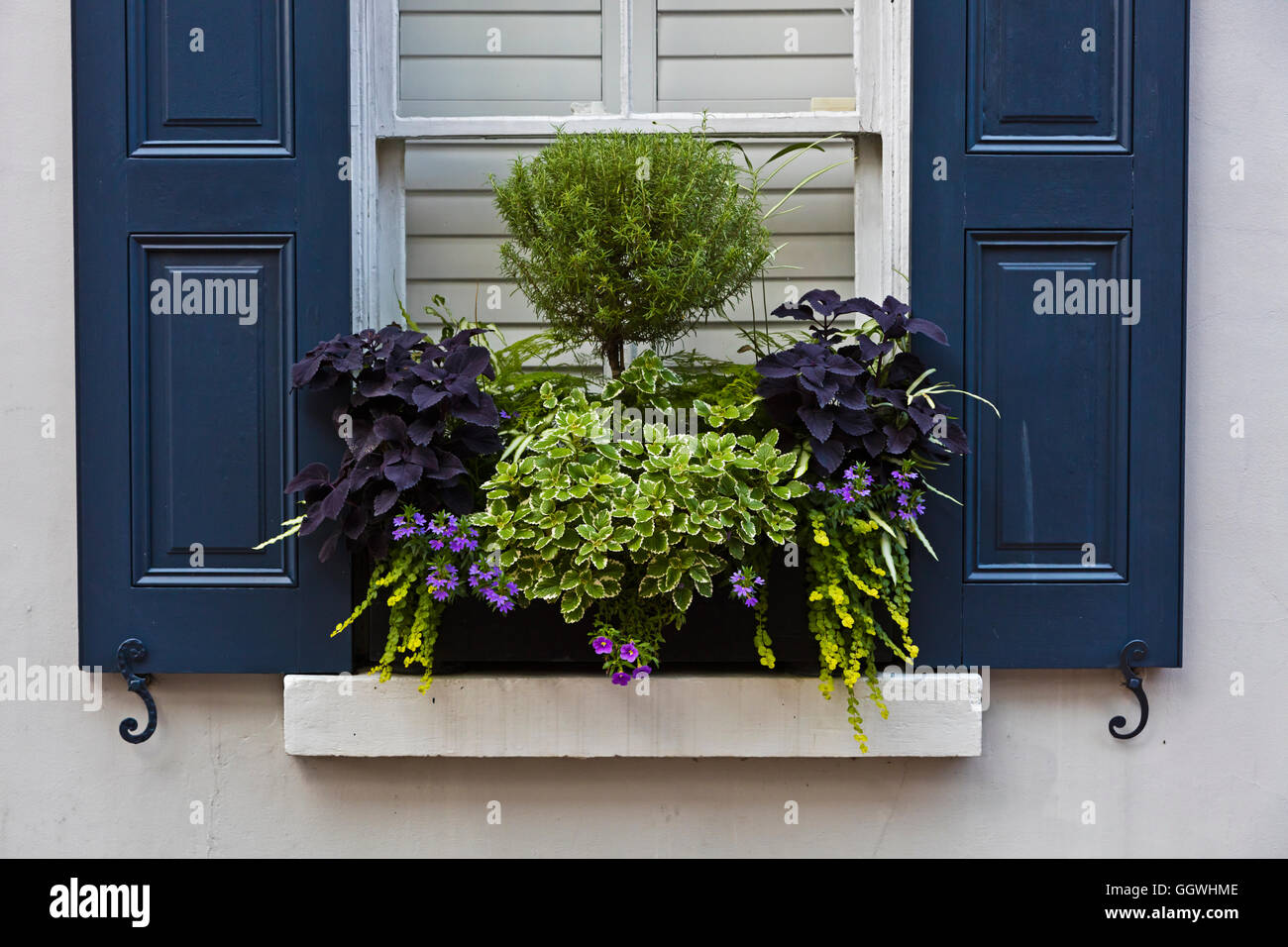 Fioriere sono parte del design del Southern mansion - Charleston, Carolina del Sud Foto Stock