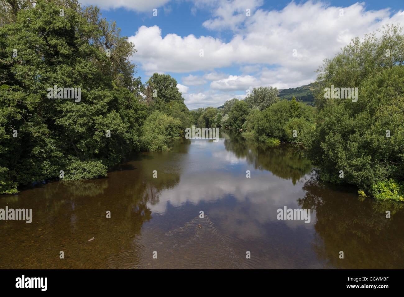 Riflessioni in Afon Wysg - fiume Usk a Cricjhowell Foto Stock