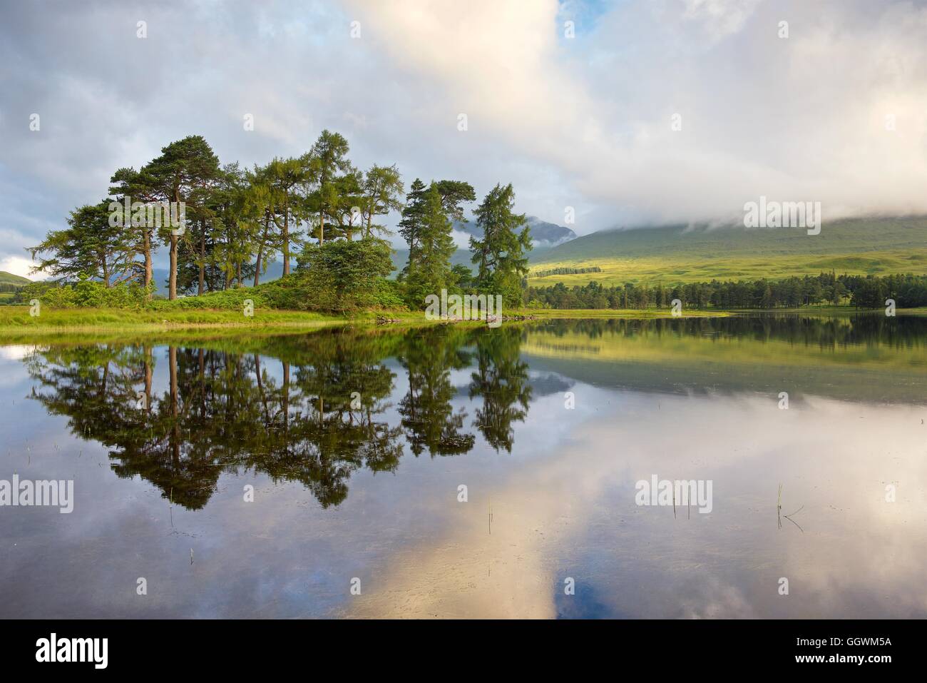Una resa del colore del Caledonian pini sulle rive di Loch tulla guardando verso il monte Nero Foto Stock