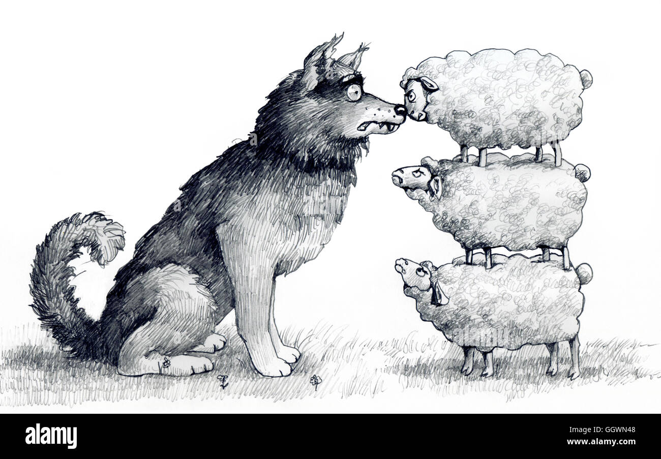 Pecora su uno altro sono all'altezza di un lupo e spaventare Foto Stock