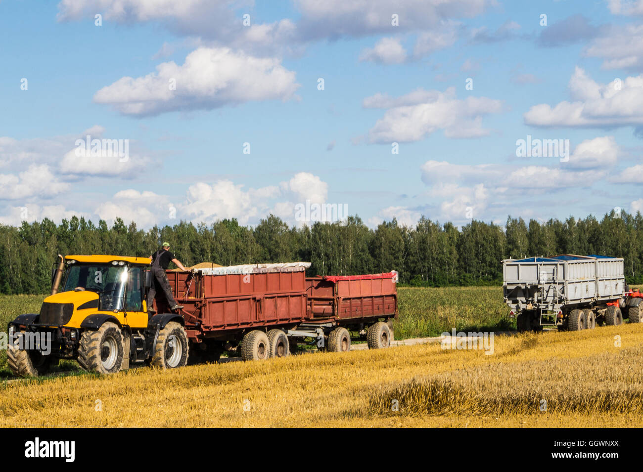 Due trattori nel campo di grano al giorno d'estate. Foto Stock