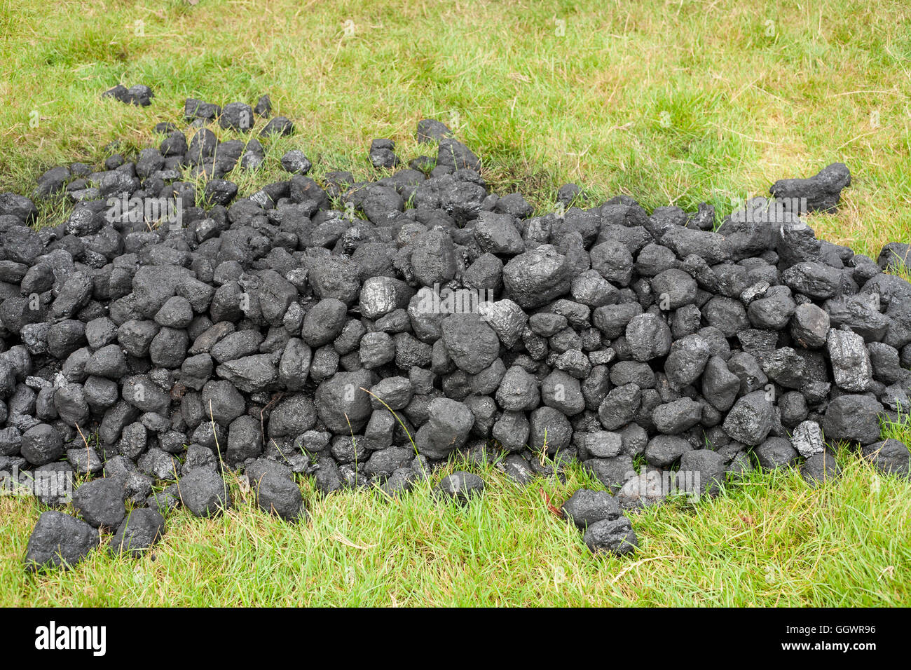 Pila di carbone. Grumi di combustibili fossili in un heap sull'erba. Foto Stock