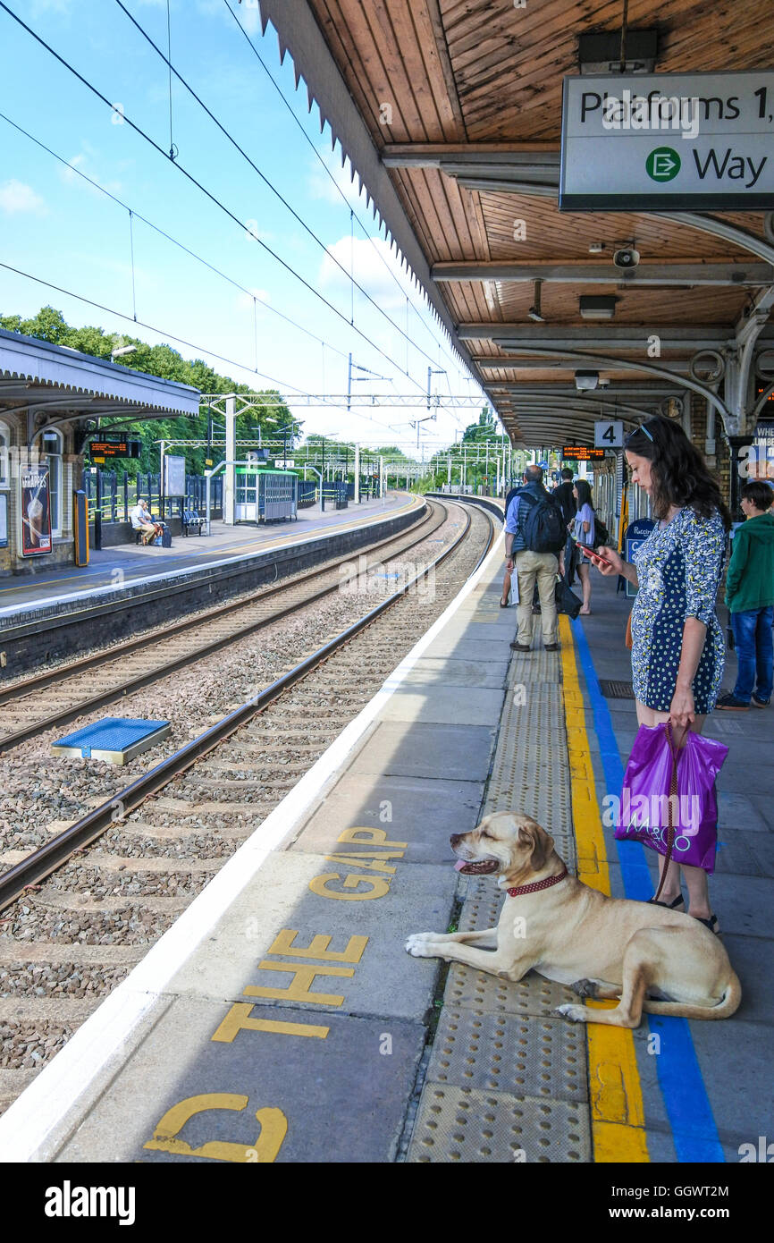 Donna sul telefono cellulare con il cane in attesa a Berkhamsted stazione ferroviaria per i treni per Londra Foto Stock