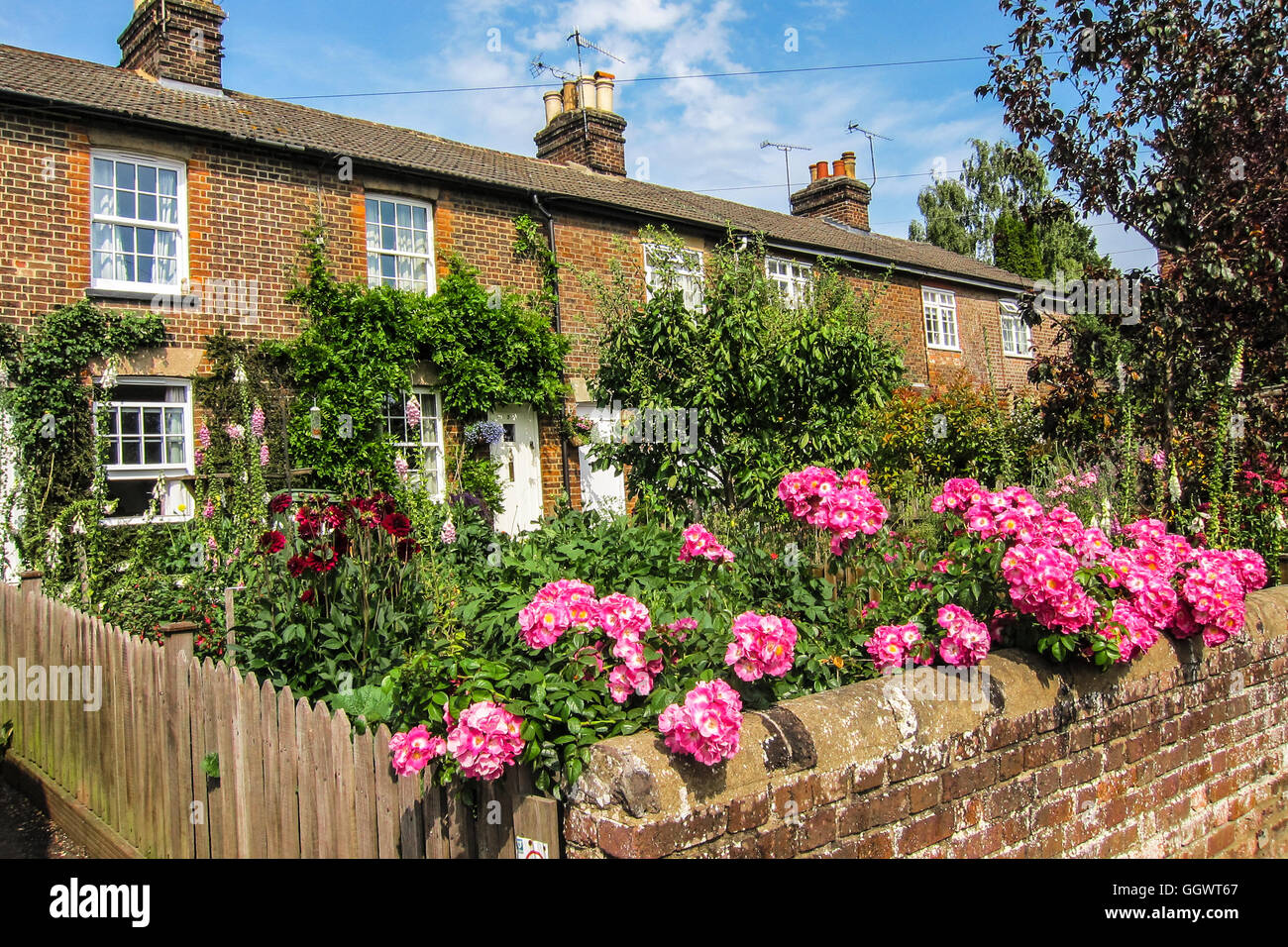 I fiori sbocciano nel bellissimo giardino inglese - Berkhamsted, Hertfordshire, Regno Unito Foto Stock