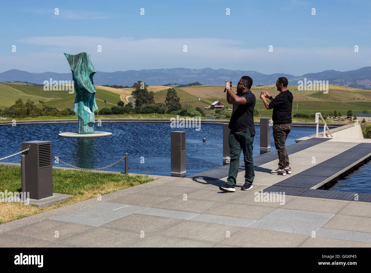 Piscina riflettente, statua da Gordon Huether, Artesa dei vigneti e della cantina, Carneros regione, Napa Valley, California Foto Stock