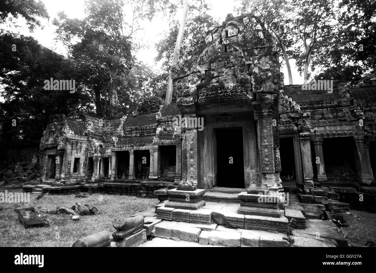 Ingresso posteriore facciata del tempio di Ta Prohm a Angkor Wat. Siem Reap, Cambogia. Foto Stock