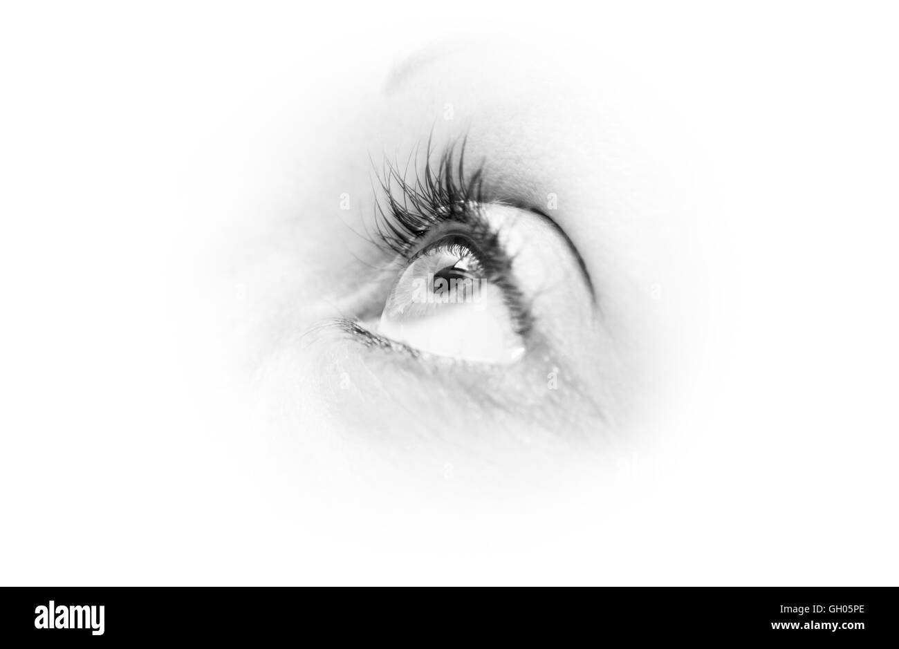 Un occhio cercando in close up dettaglio Foto Stock
