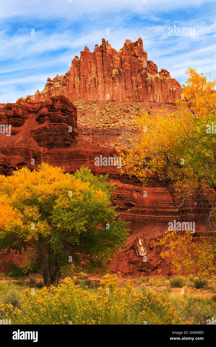 Una vista in verticale di 'Il castello " formazione a Capitol Reef National Park nello Utah con colori autunnali sulla cottonwoods alberi. Foto Stock