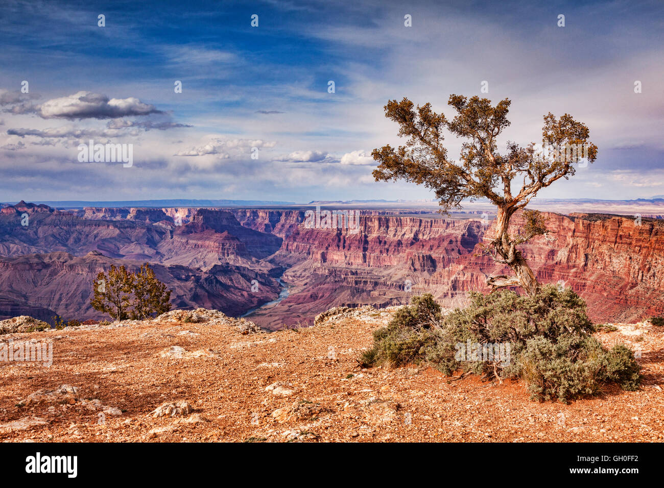 Una vista del fiume Colorado dalla vista del deserto si affacciano, Grand Canyon, Arizona, Stati Uniti d'America Foto Stock