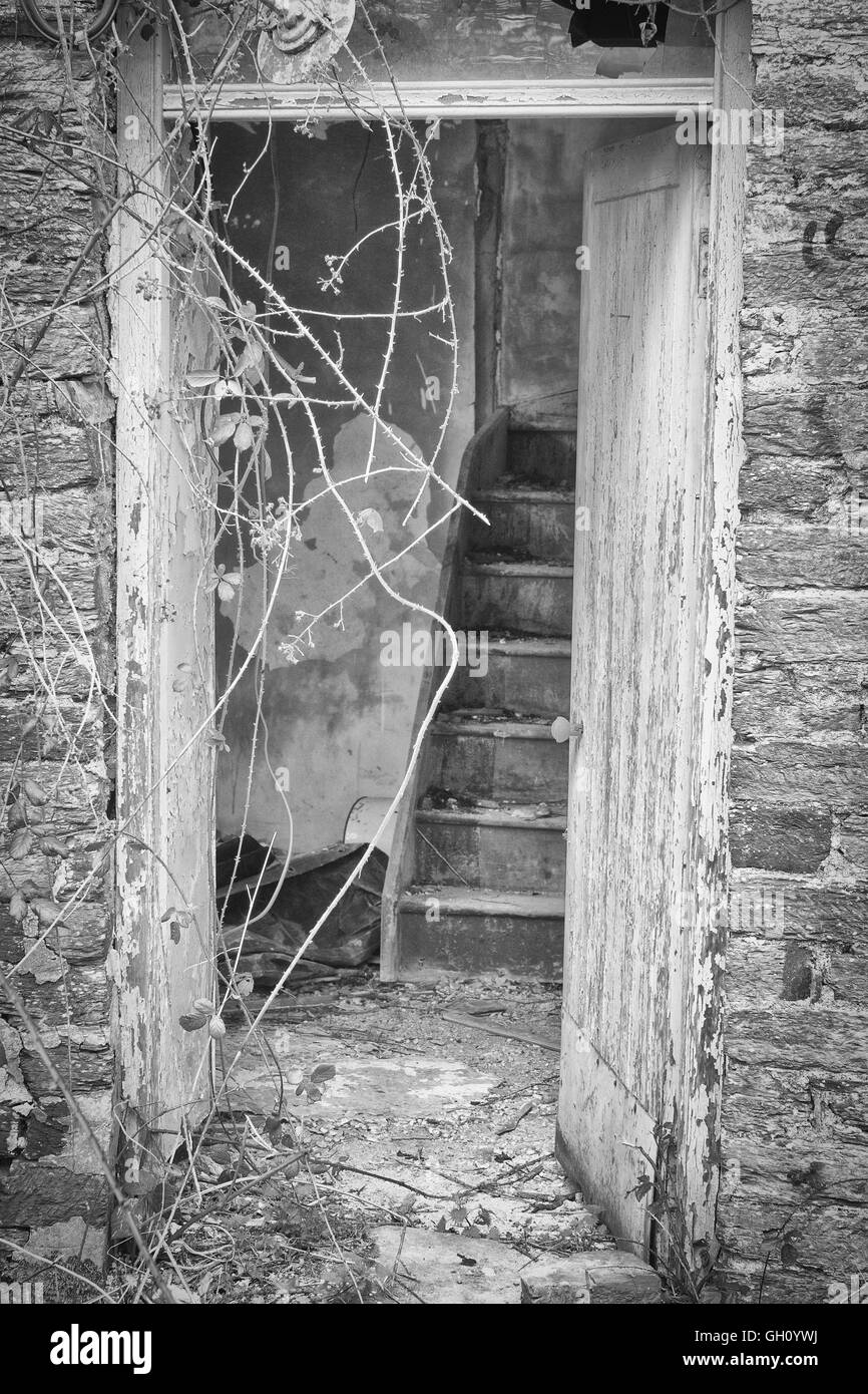 Colpo verticale di un dimenticato scala di legno interna vuota una casa abbandonata. Foto Stock