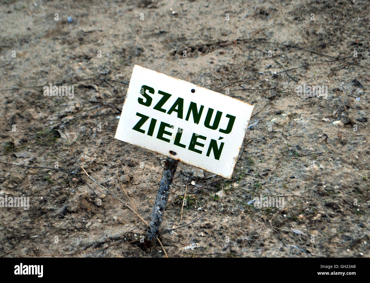 Il 'rispetto l'erba" segno su un prato essiccato in inverno in Polonia Foto Stock