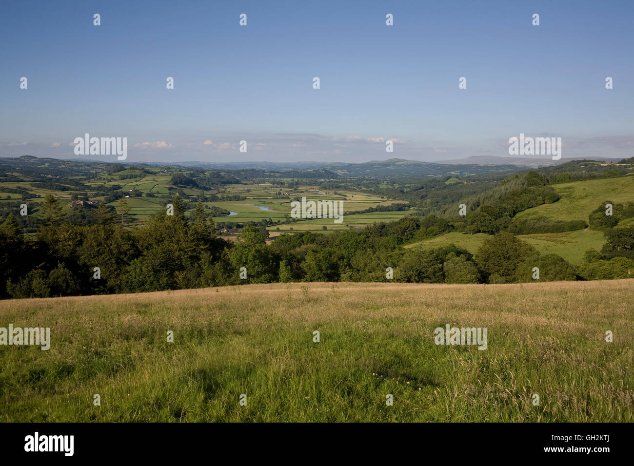 Vista Nord Est Est in una calda serata estiva da Paxton la torre verso il basso per Towy valley Foto Stock