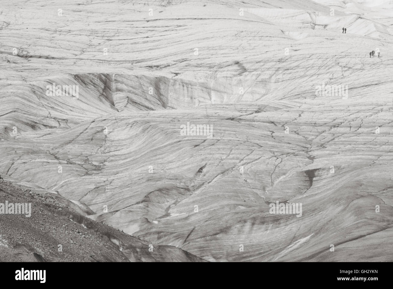 Due gruppi di persone a piedi attraverso la vastità del bordo di attacco della radice del ghiacciaio in Alaska orientale. Foto Stock