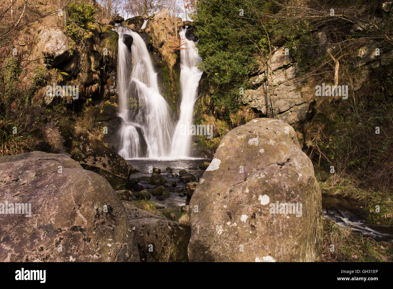 Cascata del Gill del Postforth nella campagna idilliaca panoramica (acqua corrente che scorre sopra la scogliera rocciosa nello stagno) - Abbazia di Bolton, Yorkshire Dales, Inghilterra, Regno Unito Foto Stock