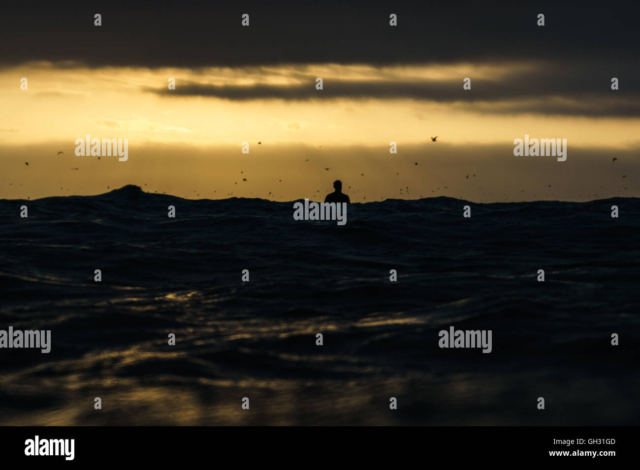 Silhouette di un surfista seduto su una scheda al tramonto Foto Stock