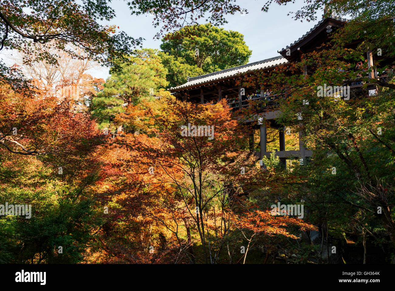 Kyoto, Giappone - 16 Novembre 2016: Visitatori fotografare i colori dell'autunno al Tofuku-ji il giardino a Kyoto, in Giappone. Foto Stock