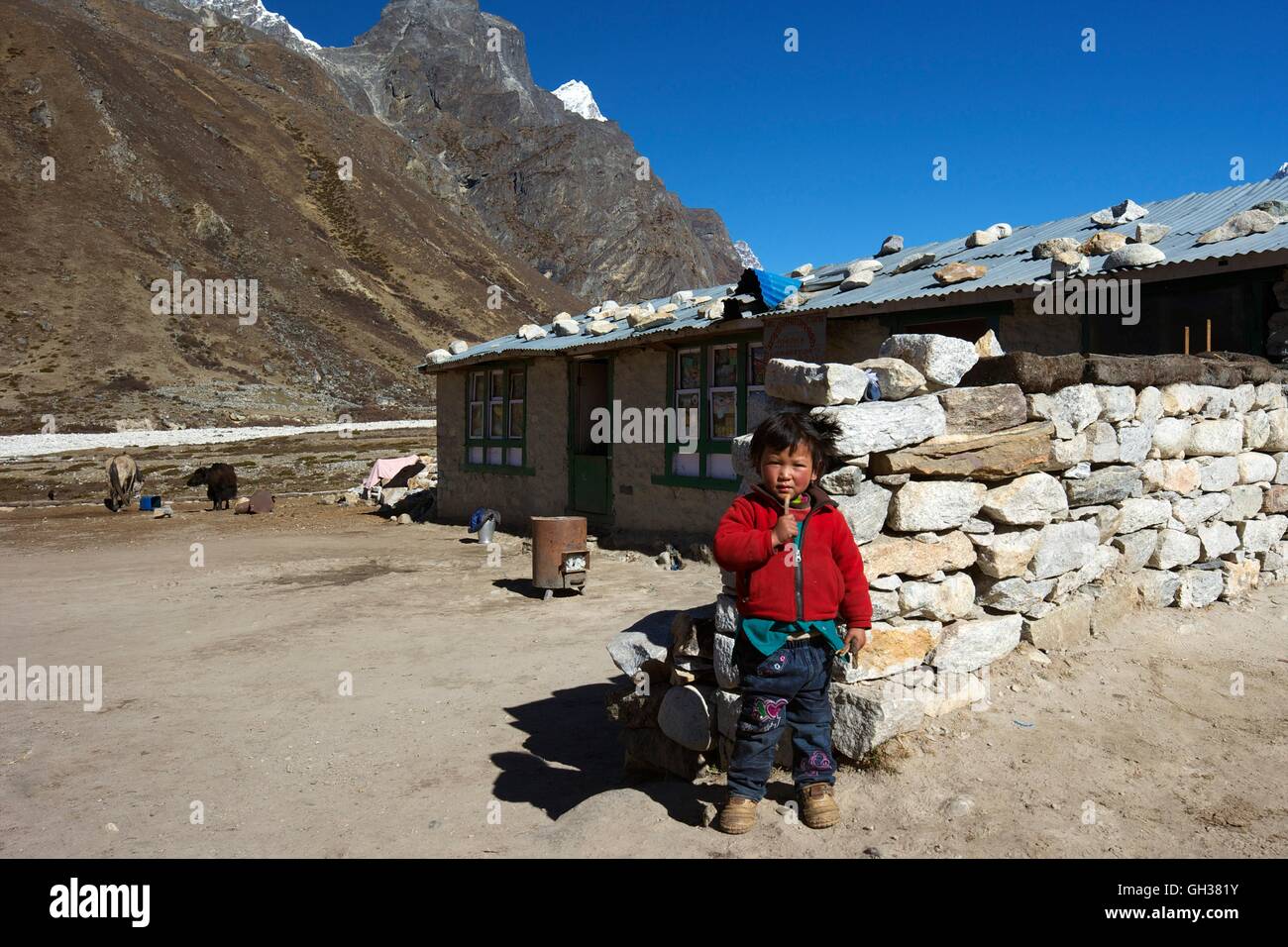 Giovane ragazzo nepalese a Pheriche, Parco Nazionale di Sagarmatha, Distretto di Solukhumbu, Nepal, Asia Foto Stock