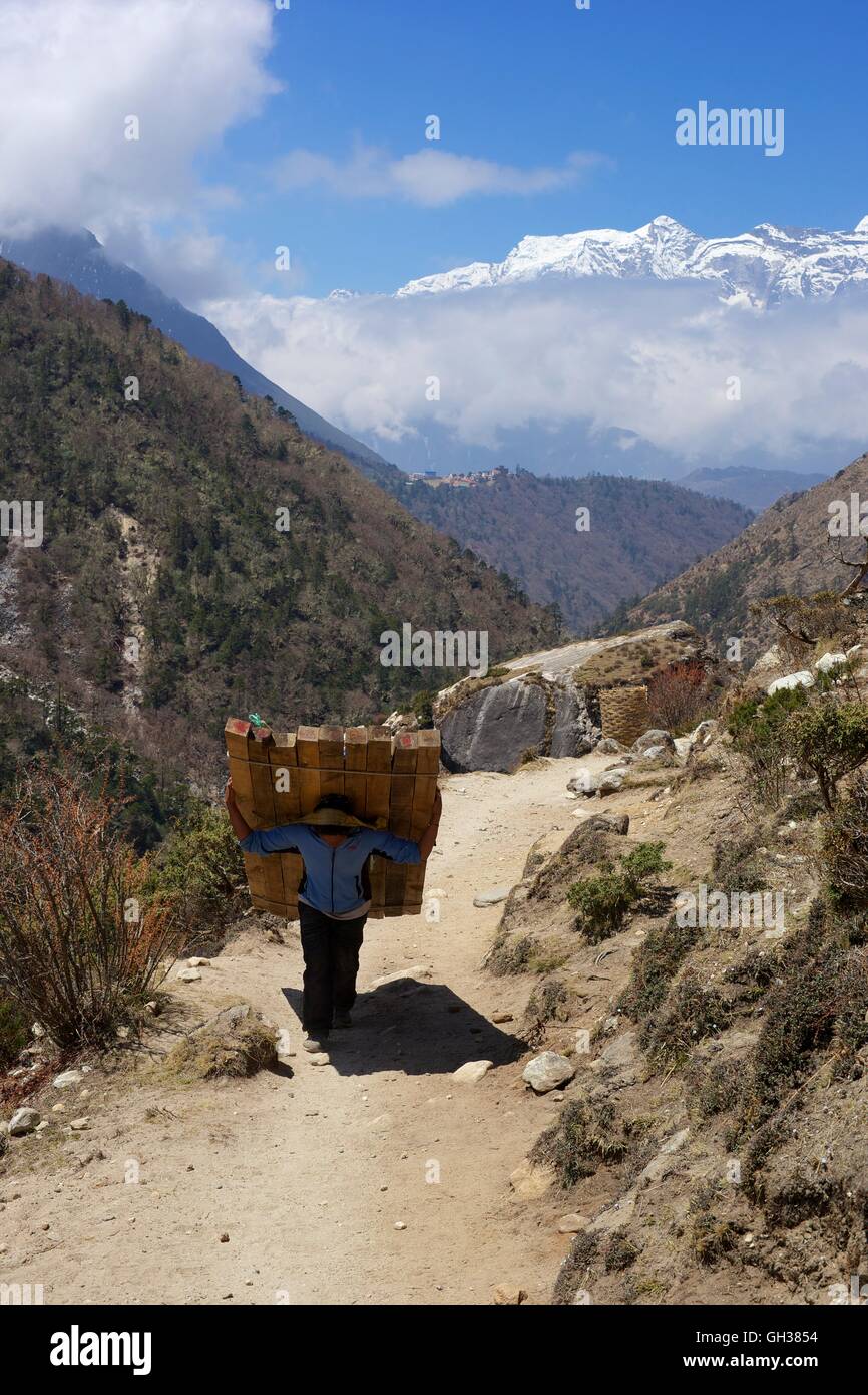Il nepalese porter il trasporto del carico di legno vicino a Tengboche, Parco Nazionale di Sagarmatha, Solukhumbu quartiere, Nepal, Asia Foto Stock