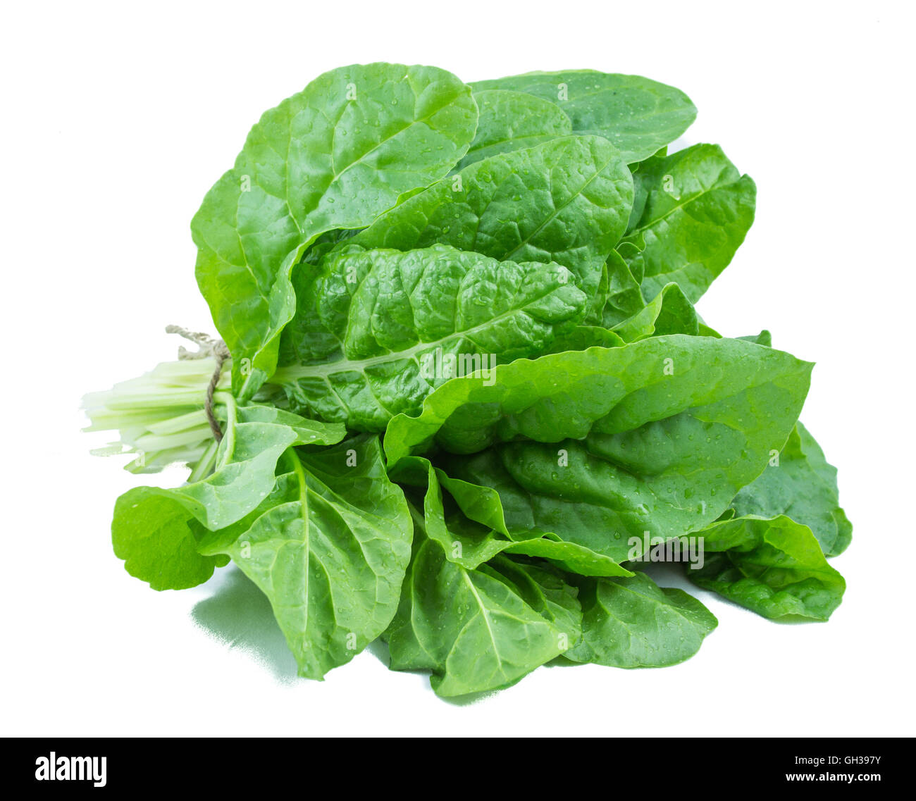 Fresche le bietole con percorso di clipping isolato su uno sfondo bianco Foto Stock