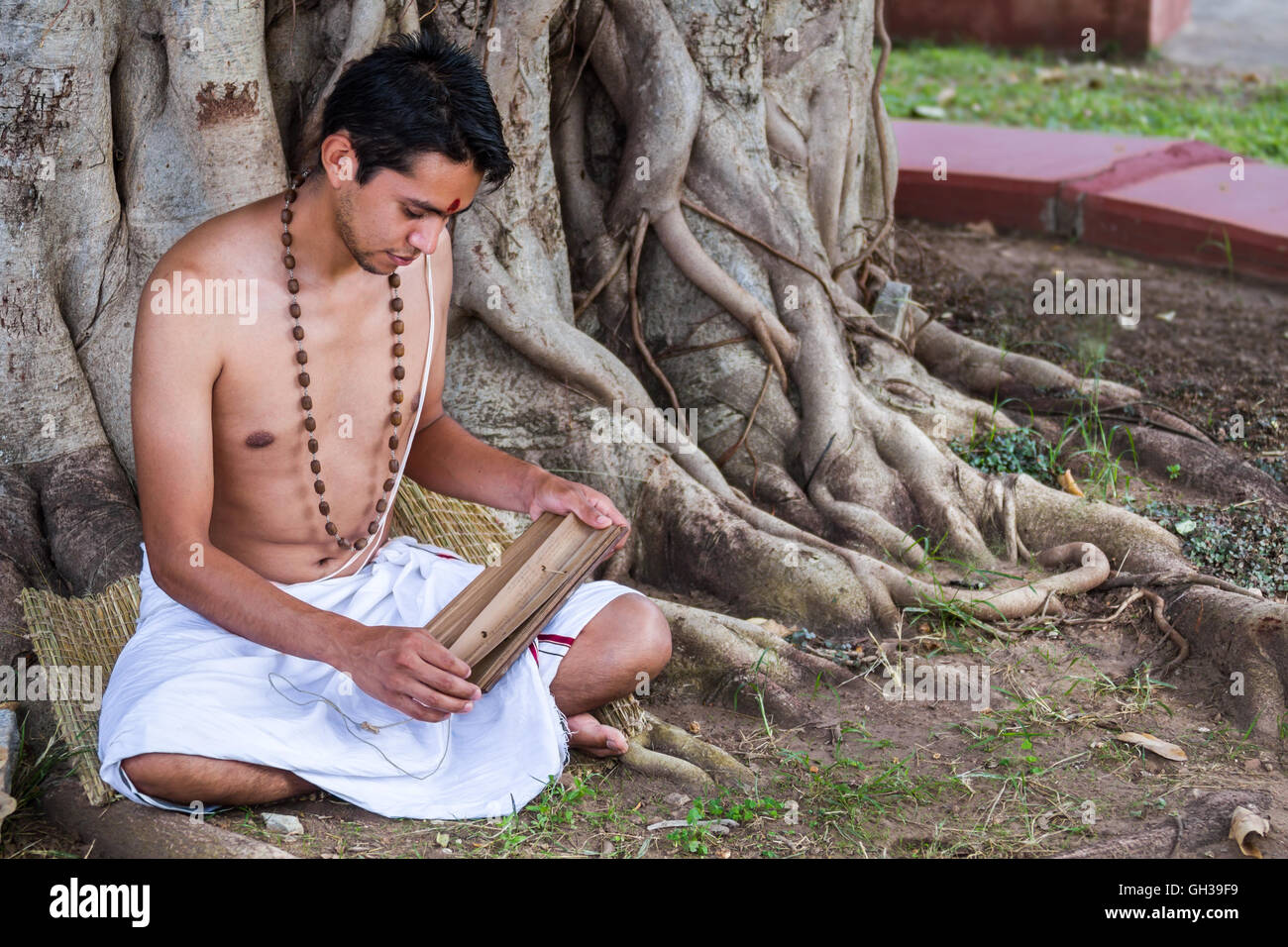 Un tradizionale giovani medico ayurvedico la lettura di un antico palm-foglia di scorrere sulla medicina naturale. Foto Stock