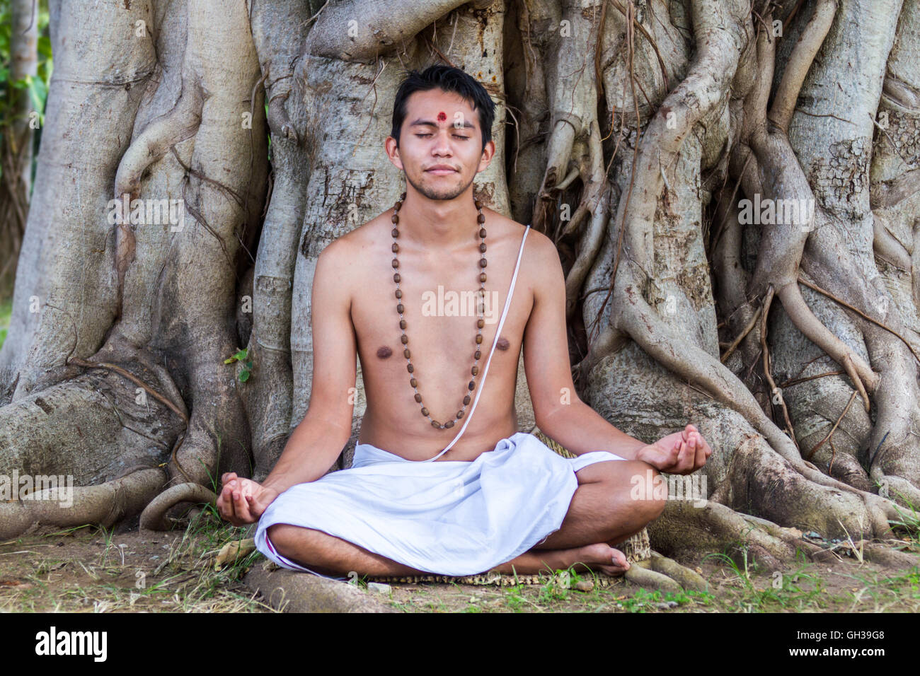 Un giovane uomo indù si siede in meditazione sotto un banyan tree. Foto Stock