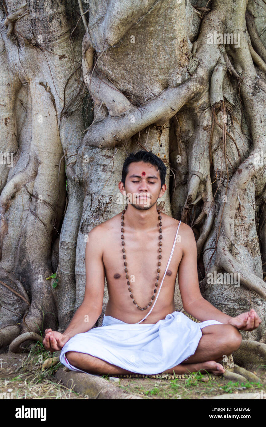 Un giovane uomo indù si siede in meditazione sotto un banyan tree. Foto Stock