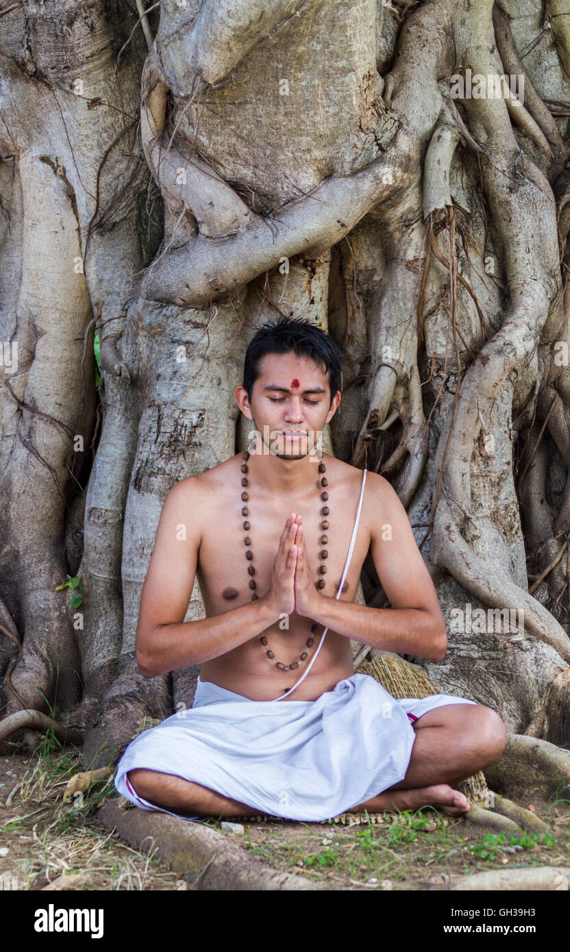 Un giovane uomo indù si siede in meditazione sotto un banyan tree. Foto Stock