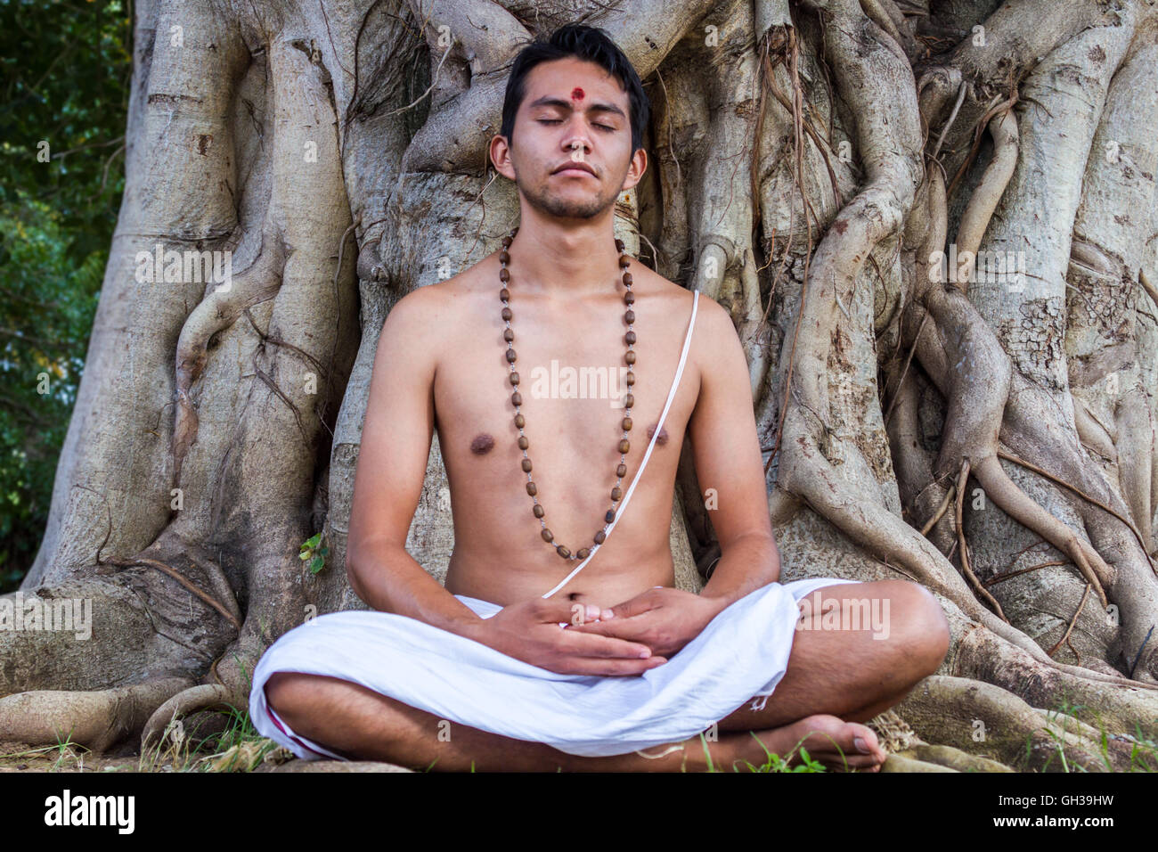 Un giovane uomo indù si siede in meditazione sotto un banyan tree. Foto Stock