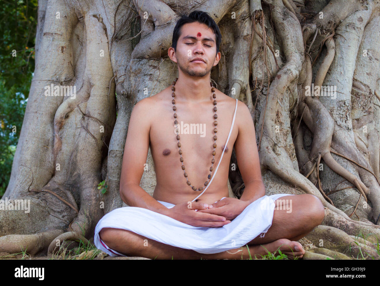 Un giovane uomo indù si siede in meditazione sotto un banyan tree. Foto Stock