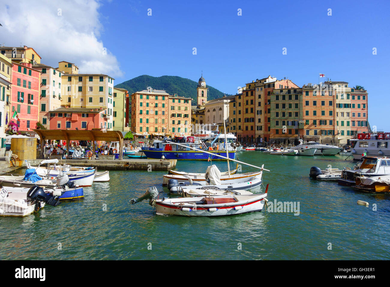 Il ligure Camogli porto Italia Foto Stock