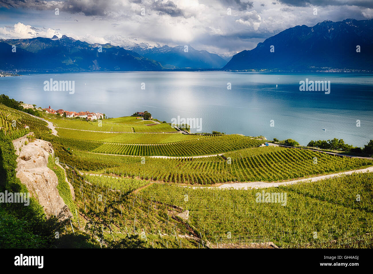 Angolo di Alta Vista di un lato piste Vigna sulla riva del lago di Ginevra, Chexbres, Canton Vaud, Svizzera Foto Stock