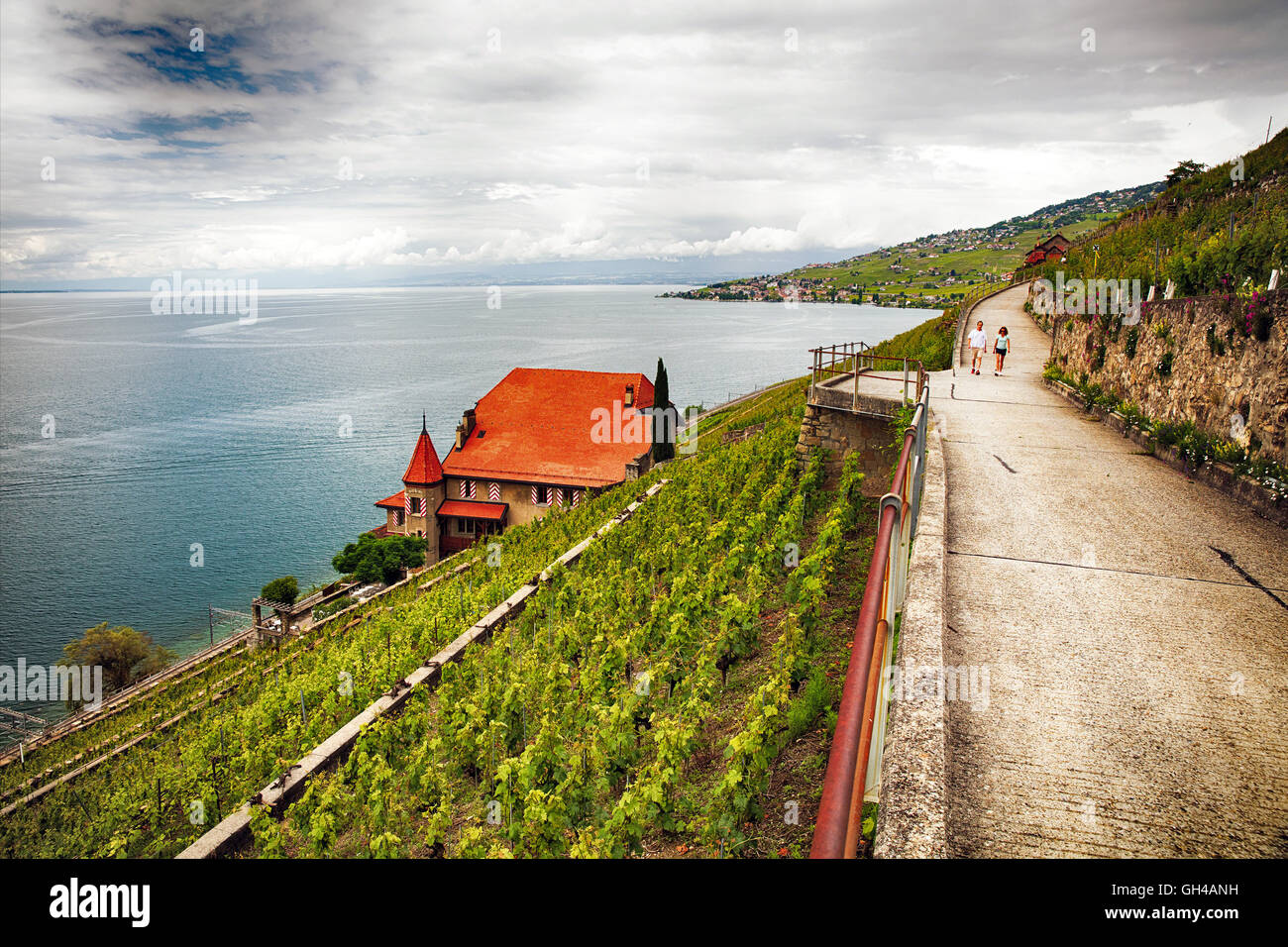 Un paio di escursioni attraverso un lato piste vigna lungo il lago di Ginevra, Dezaley, Canton Vaud, Svizzera Foto Stock