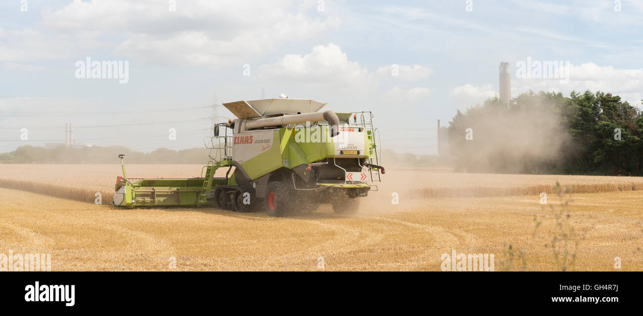 Harvester, macchinari, agriturismo, terra, mature, British, raccolta, prodotto, polvere, caccia, pursuit, grati, felice, disprezzo, nota, Foto Stock