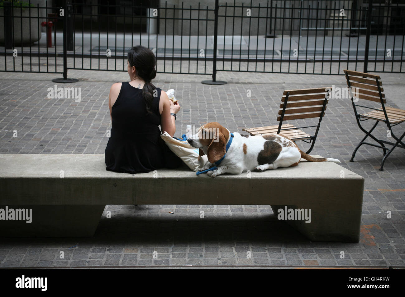 New York donna seduta su una panchina con il suo cane e mangiare il pranzo Foto Stock