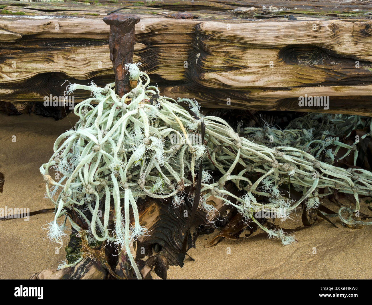 Naufragio driftwood e la vecchia rete da pesca sepolto nella sabbia, Balnahard Beach, Isola di Colonsay, Scotland, Regno Unito. Foto Stock