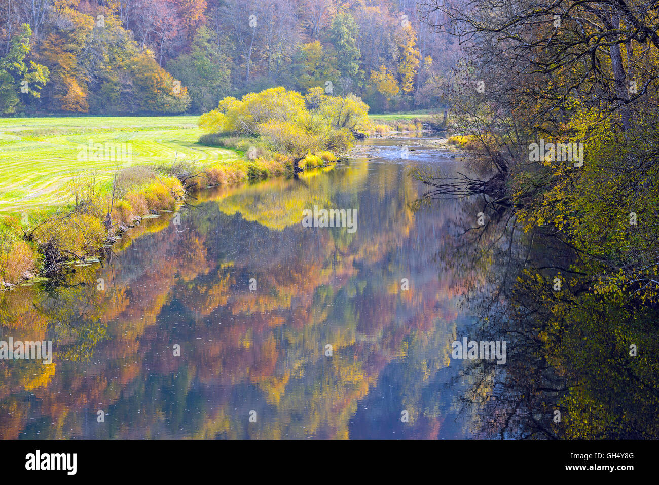 Geografia / viaggi, GERMANIA Baden-Wuerttemberg, paesaggi, Danubio superiore riserva naturale in autunno, Additional-Rights-Clearance-Info-Not-Available Foto Stock