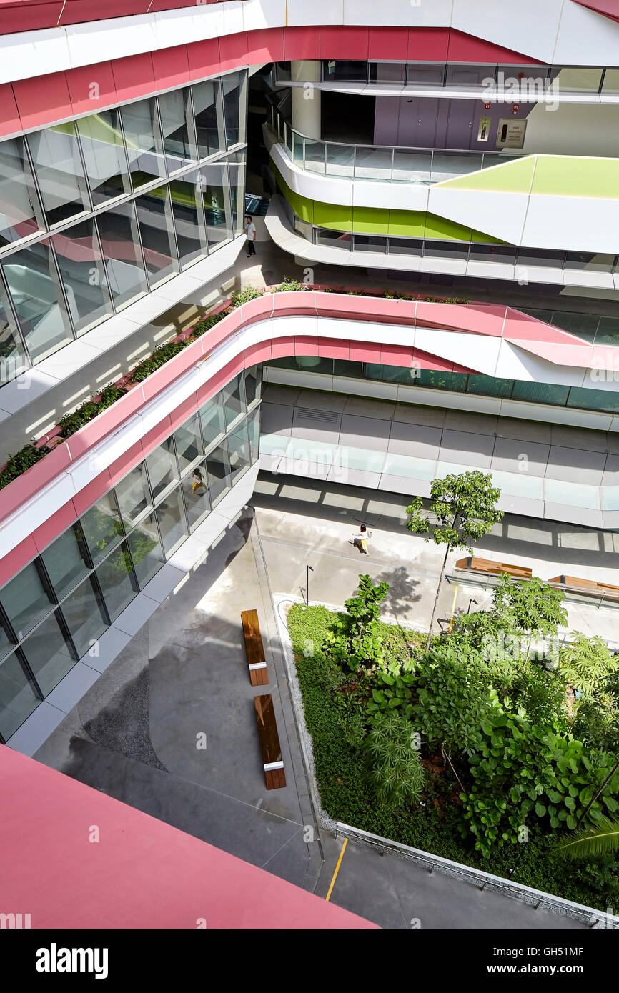 Giardino con cortile e circolazione aperta balconi lungo la facciata. Università di Singapore di tecnologia e design, Singapore, Singapore. Architetto: UNStudio, 2015. Foto Stock