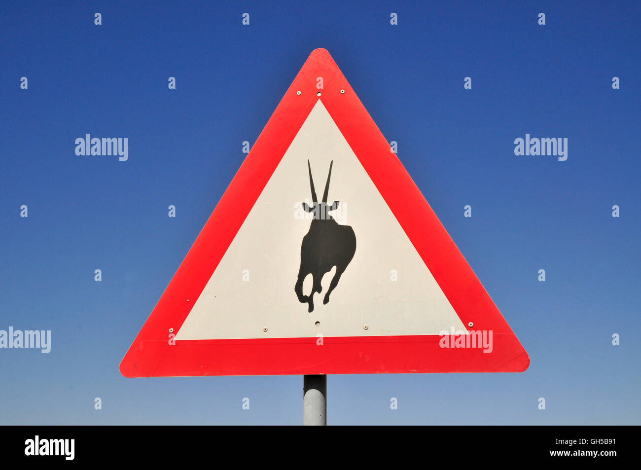 Geografia / viaggi, Namibia, segno "Attenzione, Oryx antilopi!' all'entrata del Namib Rand Riserva Naturale, Namib Desert, Additional-Rights-Clearance-Info-Not-Available Foto Stock