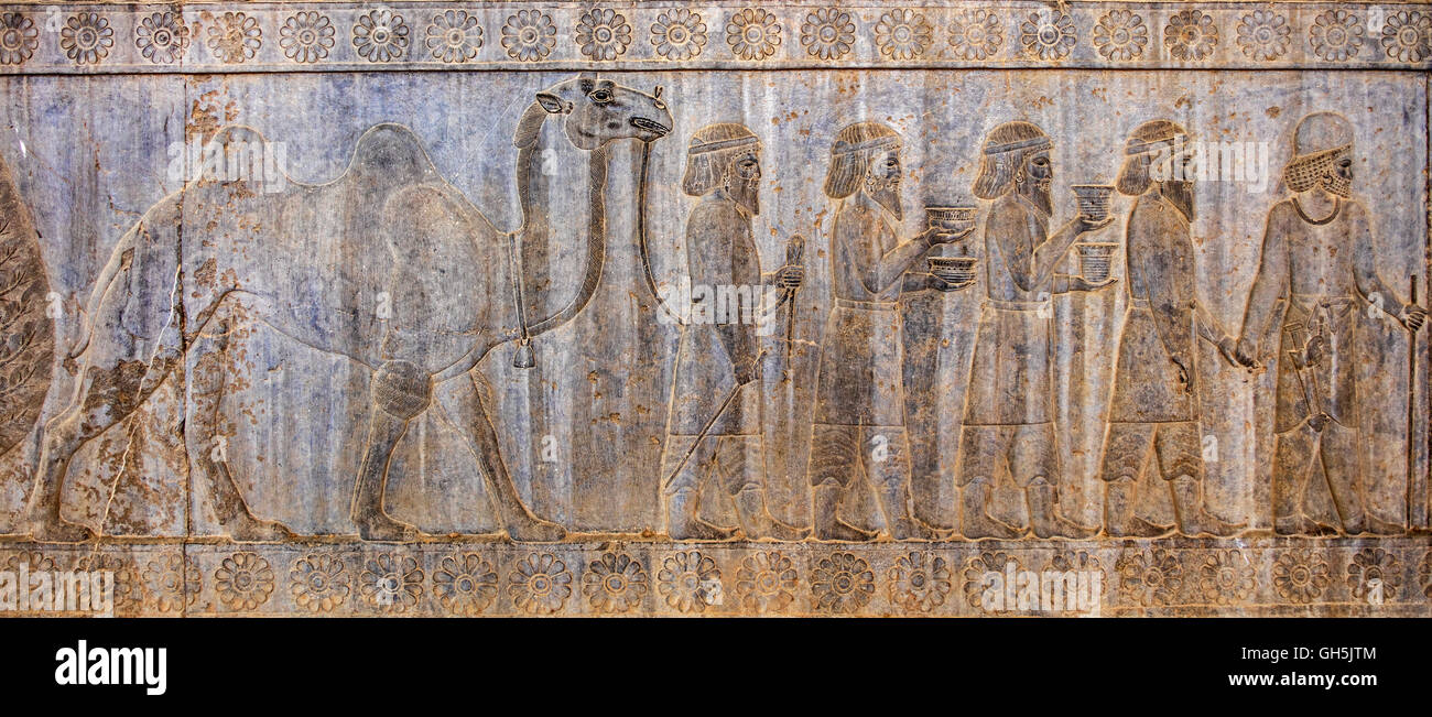 Geografia / viaggi, Iran, Persepolis, ex capitale del Achaemenids, fondata dal re Dario I, 520 BC, Apadana Hall, Est scale, parete sud, deputazione delle nazioni, dettaglio Bactrians con cammello, Additional-Rights-Clearance-Info-Not-Available Foto Stock