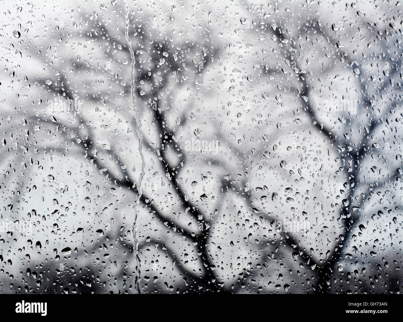 Vista di un albero attraverso la finestra in un giorno di pioggia, gocce di pioggia sulla finestra Foto Stock