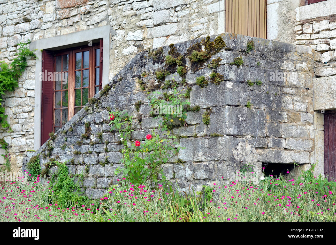 Scale di pietra per l'entrata di un'annata francese building con gli alpinisti Foto Stock