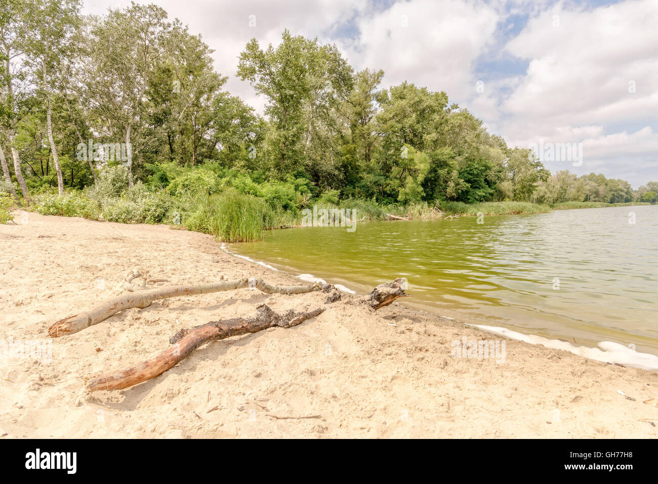 Spiaggia di sabbia vicino al lago verde sotto una torbida estate cielo. A Kiev, Ucraina Foto Stock