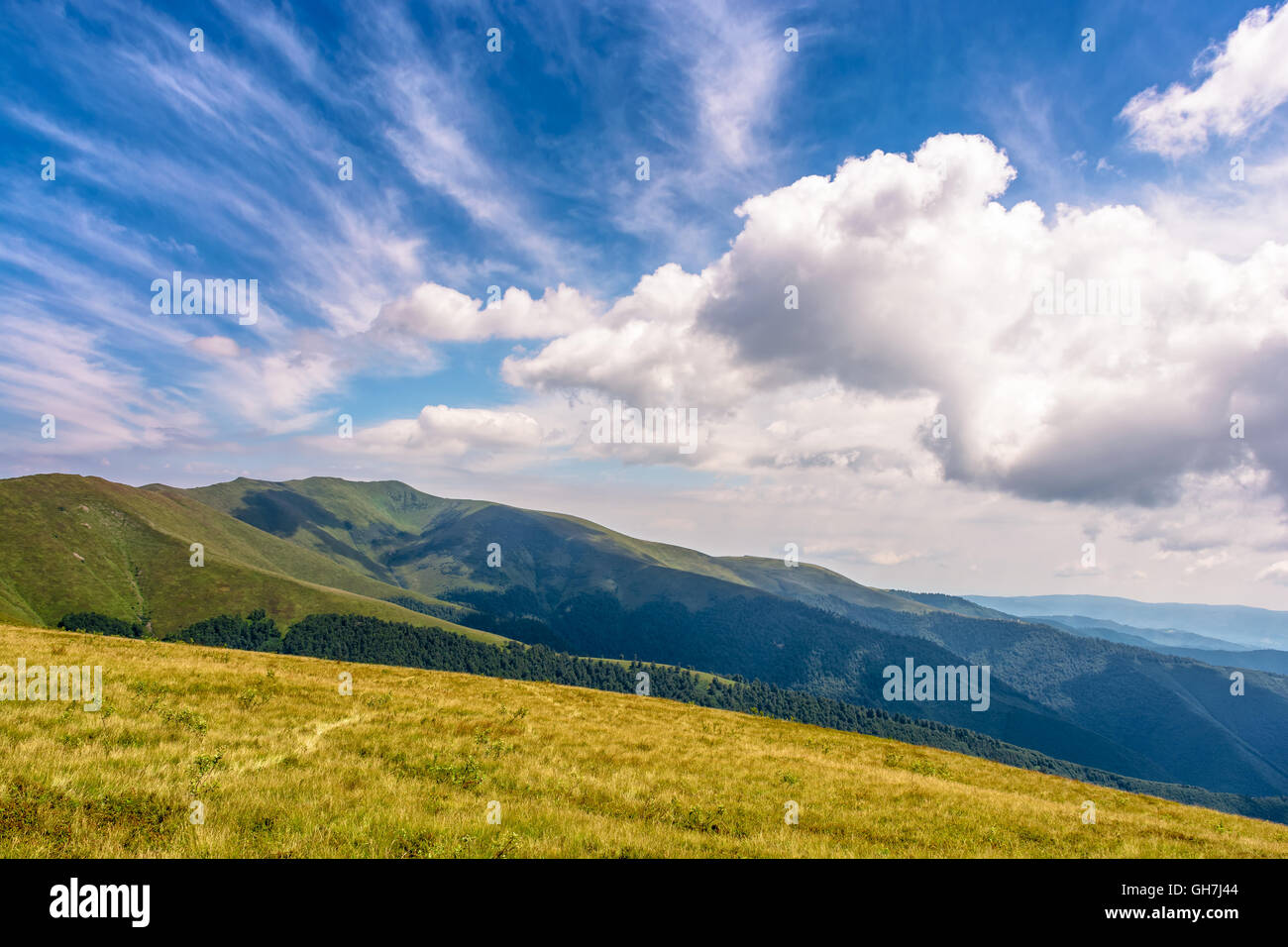 Estate paesaggio di montagna con erba selvatica sulla collina prato sotto il cielo blu con nuvole Foto Stock