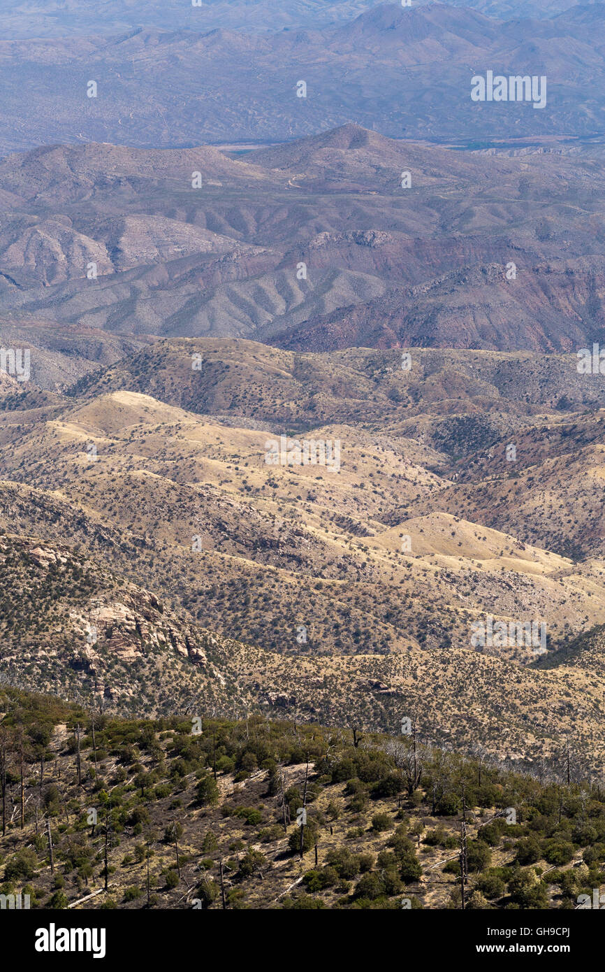 Un esteso panorama del Deserto di Sonora apertura sotto le montagne di Mica. Parco nazionale del Saguaro, Arizona Foto Stock