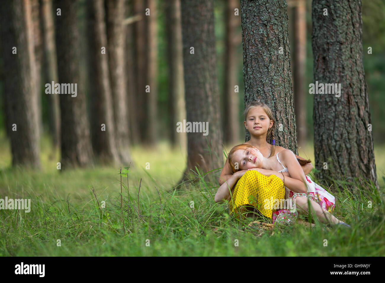 Carino piccole sorelle in una foresta di pini. Foto Stock