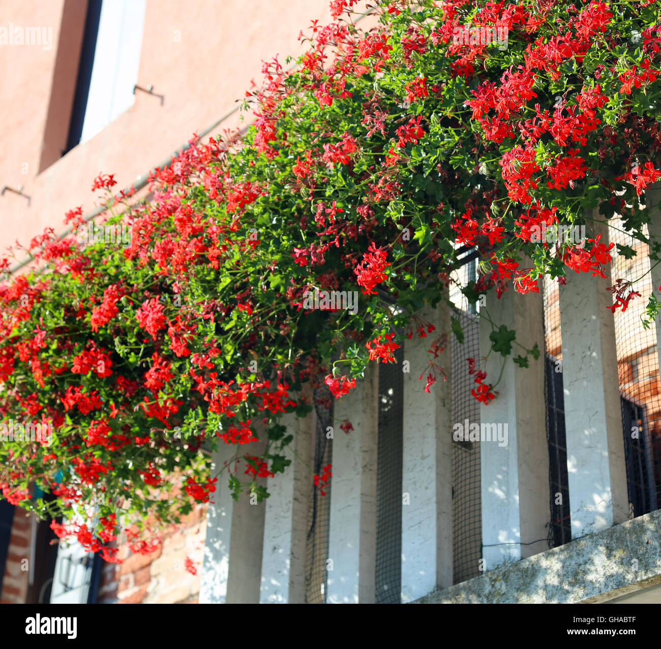 Bellissimo balcone fiorito con una finestra in casa e molti vasi di fiori Foto Stock
