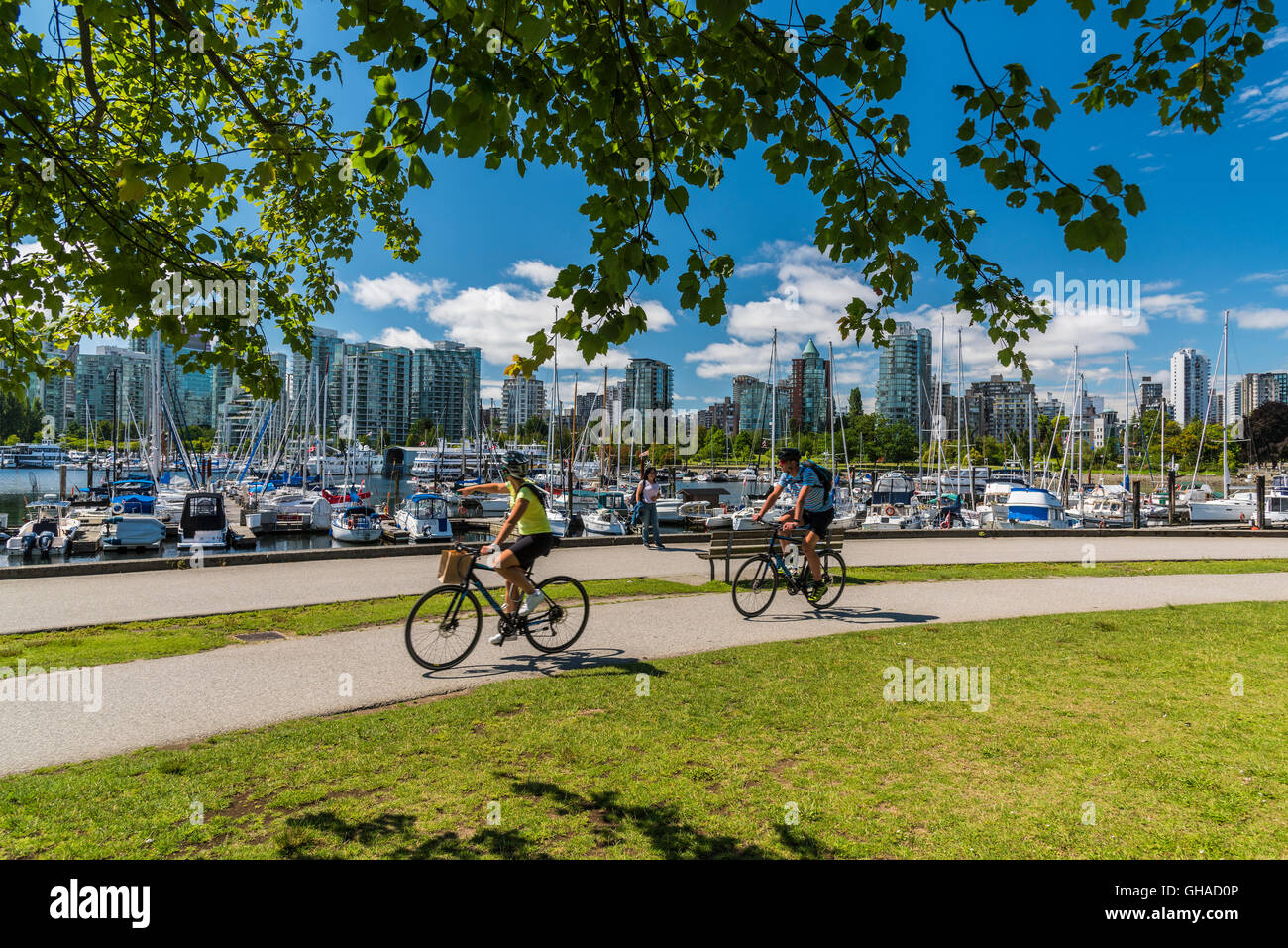 Stanley Park, Vancouver, British Columbia, Canada Foto Stock