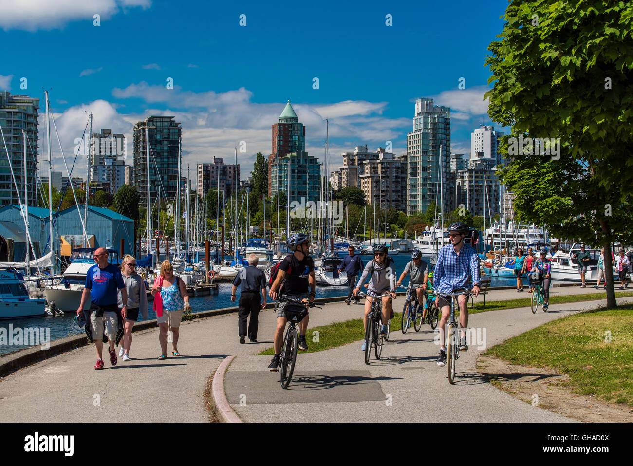 Stanley Park, Vancouver, British Columbia, Canada Foto Stock