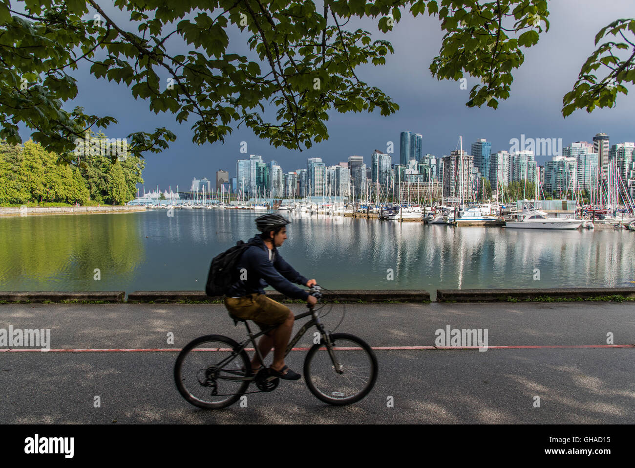 Skyline della città come si vede da Stanley Park, Vancouver, British Columbia, Canada Foto Stock